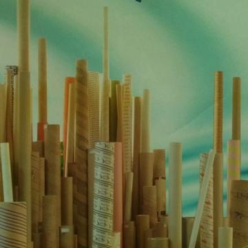 Using Geovision IP Cameras in Golbarg Company