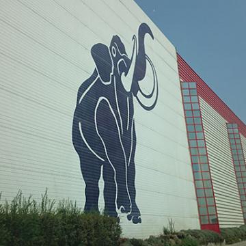 Geovision IP Cameras installed in Mammut Holding in Iran